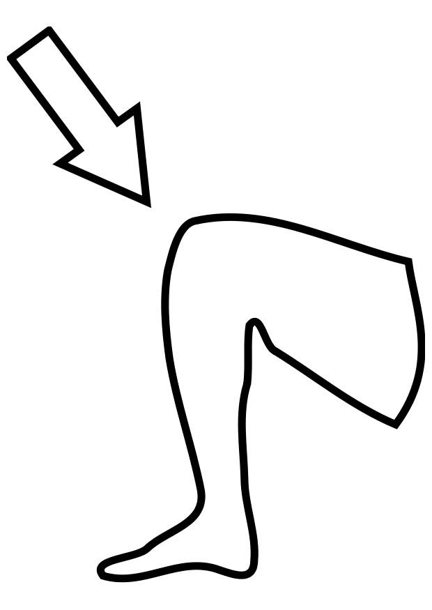Malvorlage knie