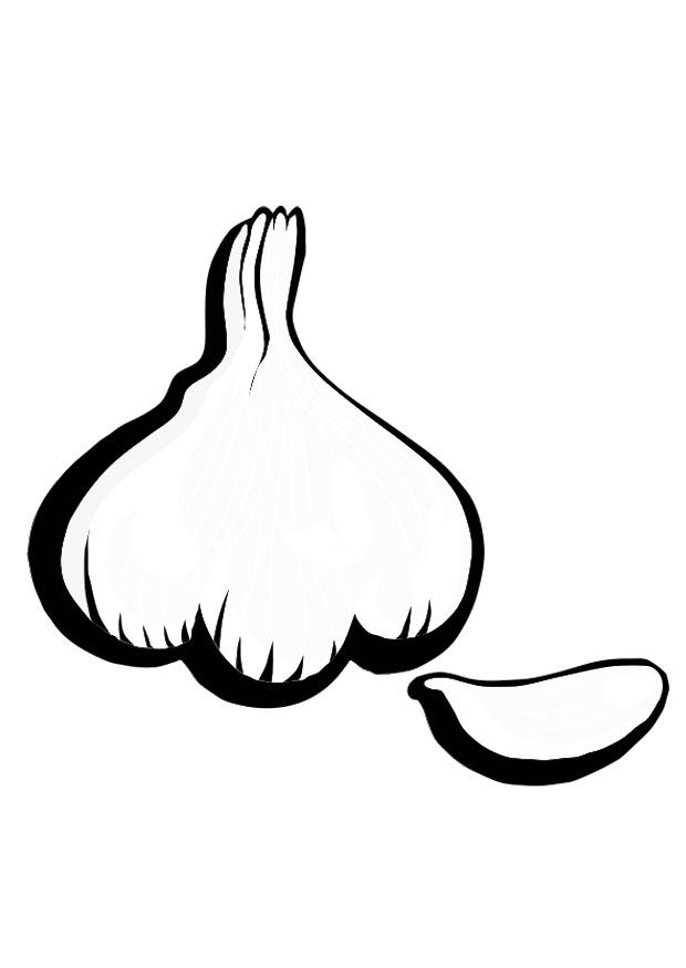 knoblauch Malvorlage knoblauch