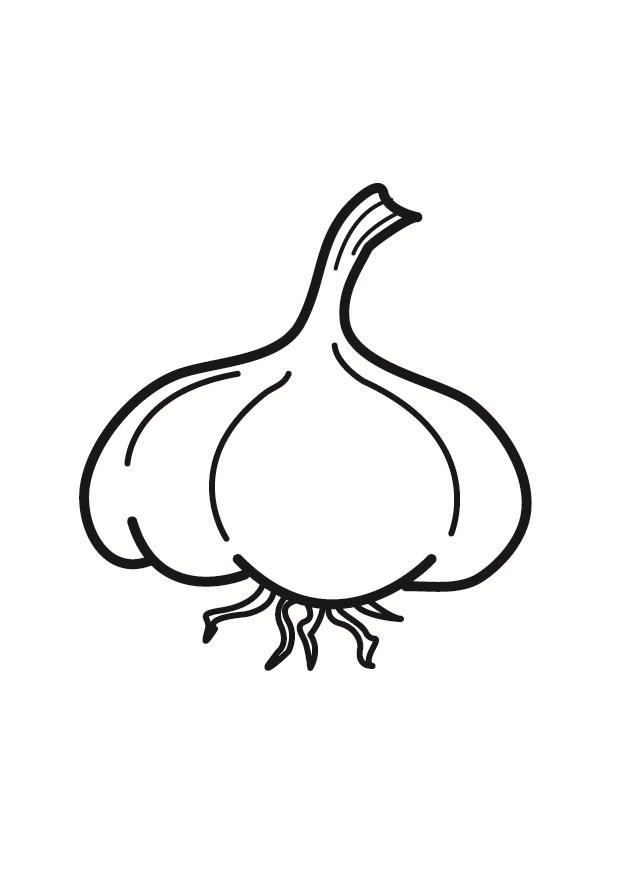 knoblauch Malvorlage knoblauch