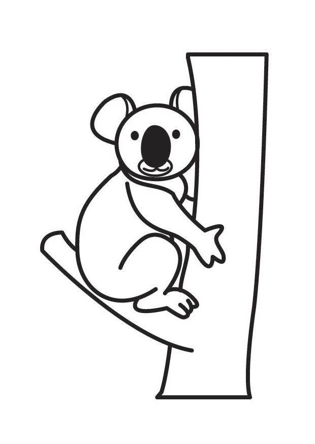 koala Malvorlage koala