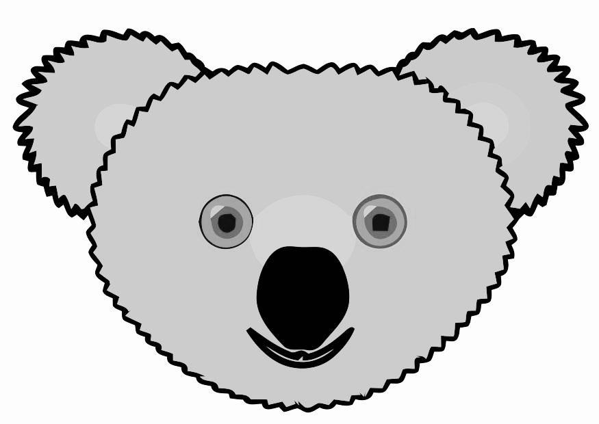 koala Bild koala