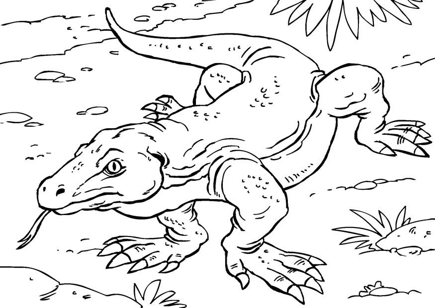 komodowaran Malvorlage komodowaran
