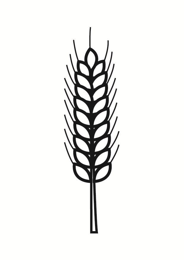 Malvorlage korn