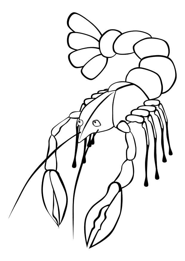 krebs Malvorlage krebs