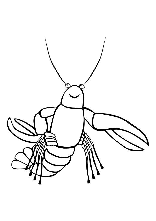 krebs Malvorlage krebs
