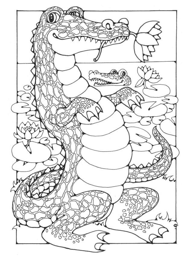 krokodile Malvorlage krokodile
