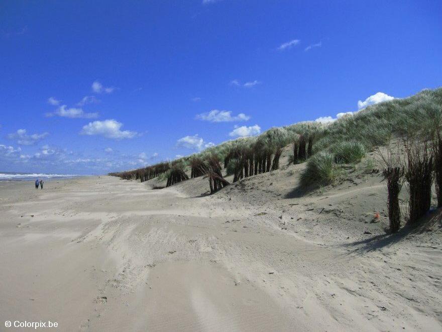 kA¼ste strand dA¼nen Foto kA¼ste strand dA¼nen