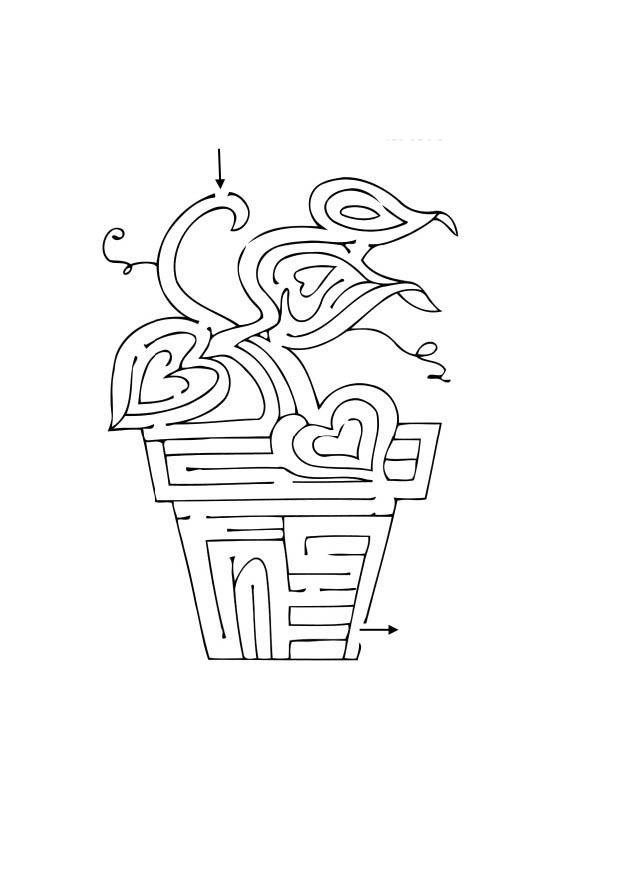 labyrinth pflanze Malvorlage labyrinth pflanze