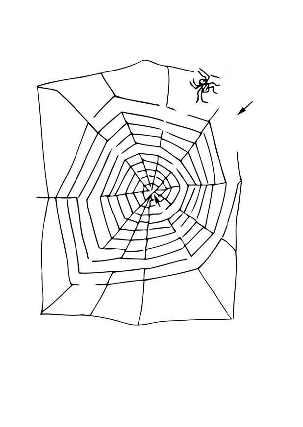 labyrinth spinne Malvorlage labyrinth spinne