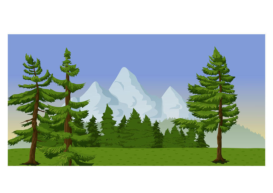 landschaft Bild landschaft