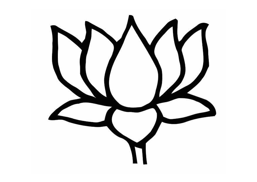 lotus Malvorlage lotus