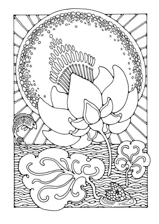 lotus Malvorlage lotus