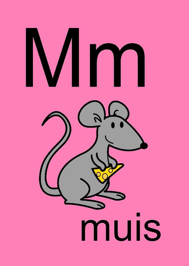 m Bild m