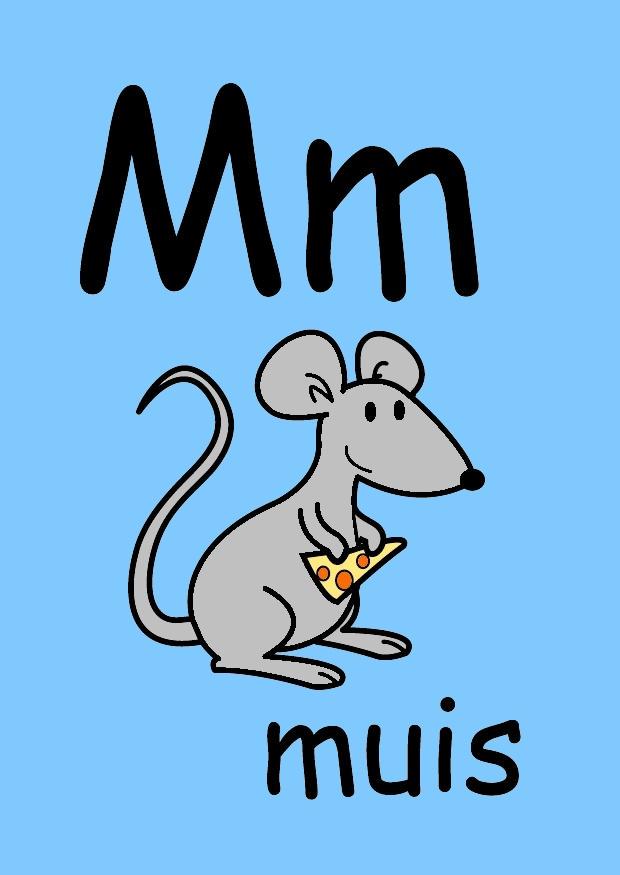 m Bild m