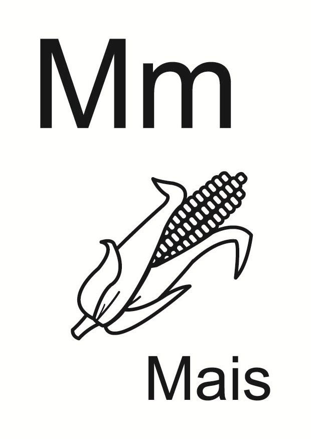 m Malvorlage m