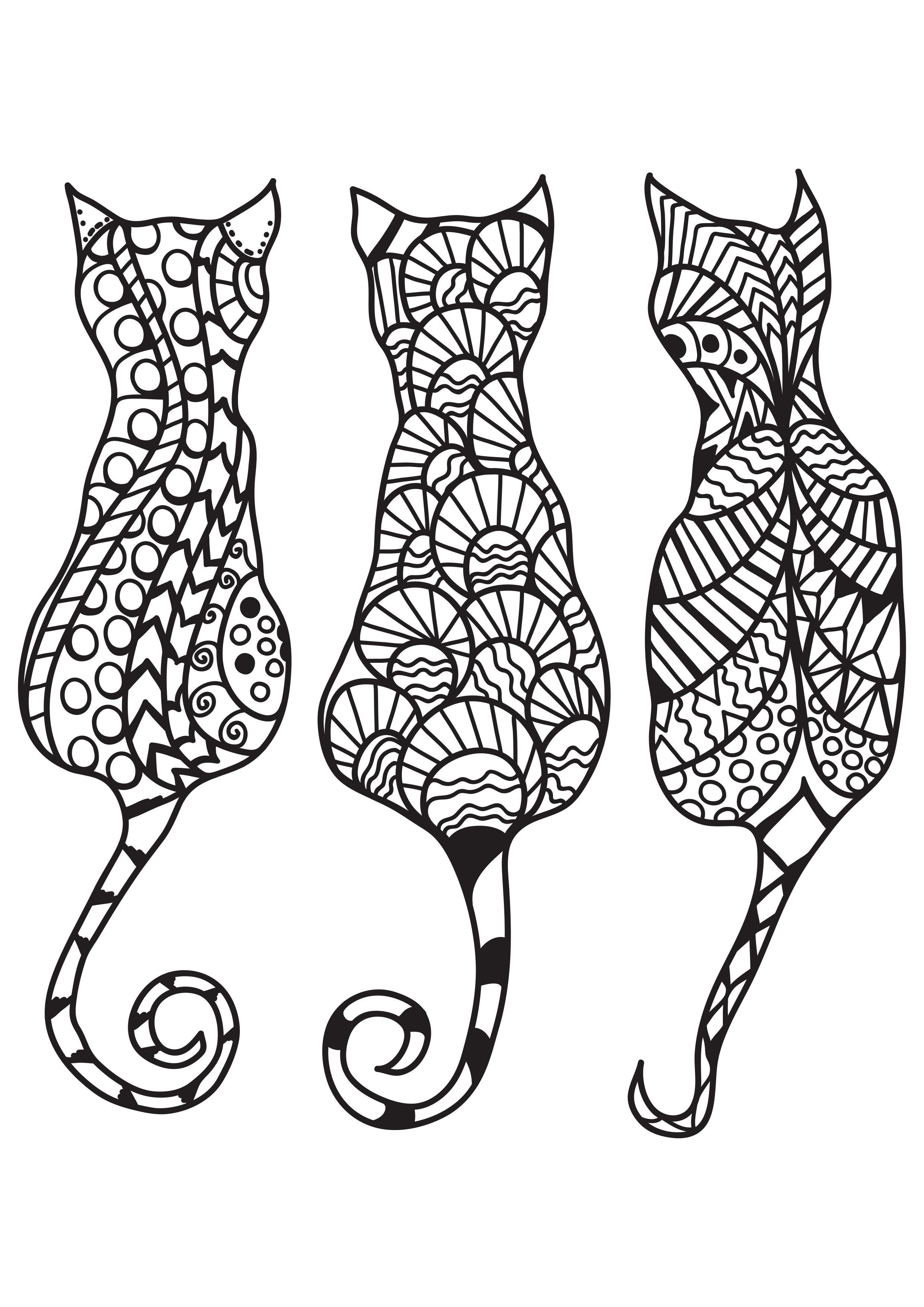 Malvorlage  3 katzen