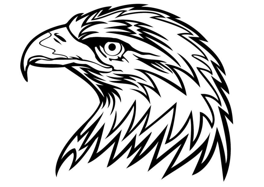 Malvorlage  adler