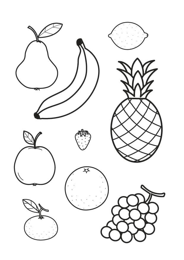 Malvorlage  alle obstsorten
