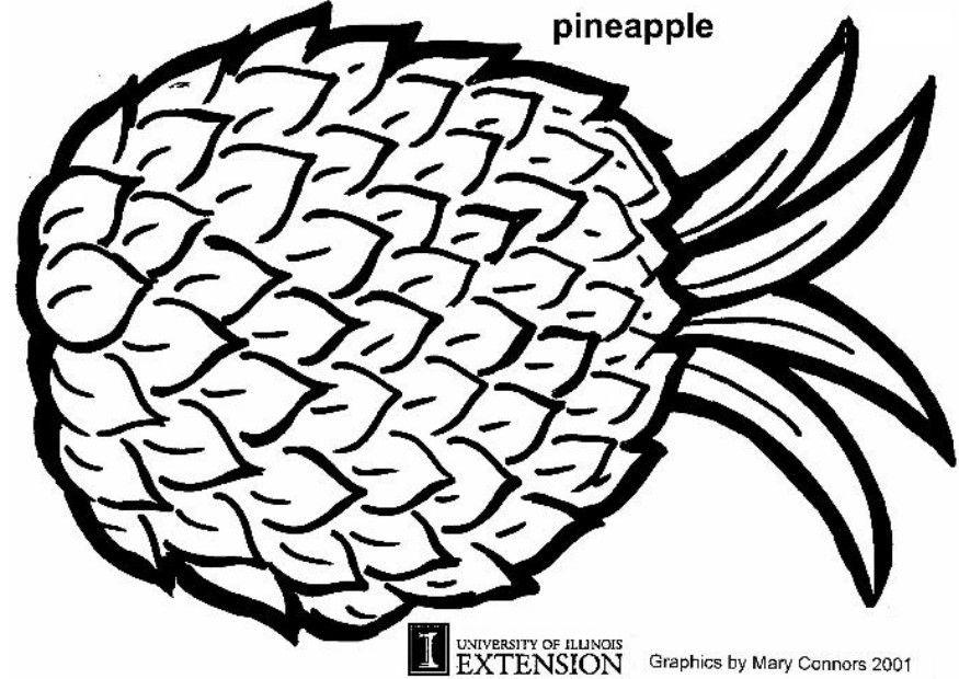 Malvorlage  ananas
