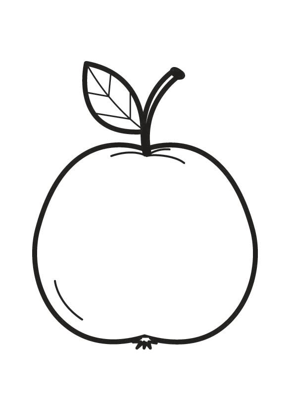 Malvorlage  apfel