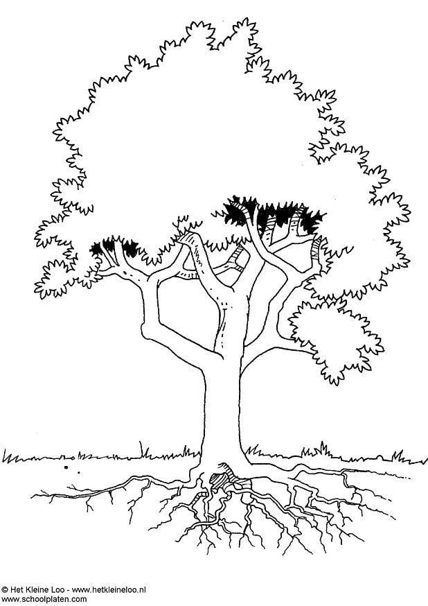 Malvorlage  baum