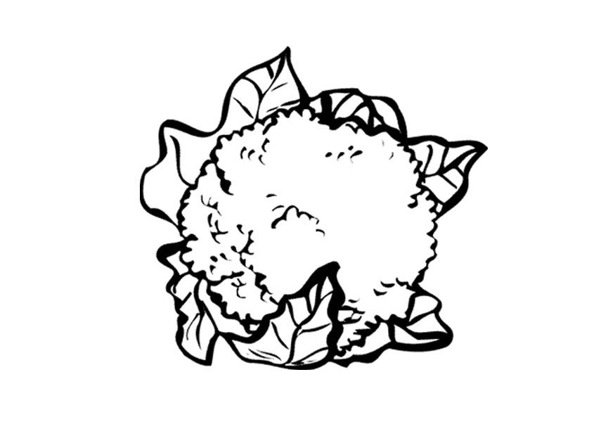Malvorlage  blumenkohl