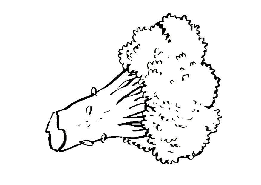 Malvorlage  brokkoli