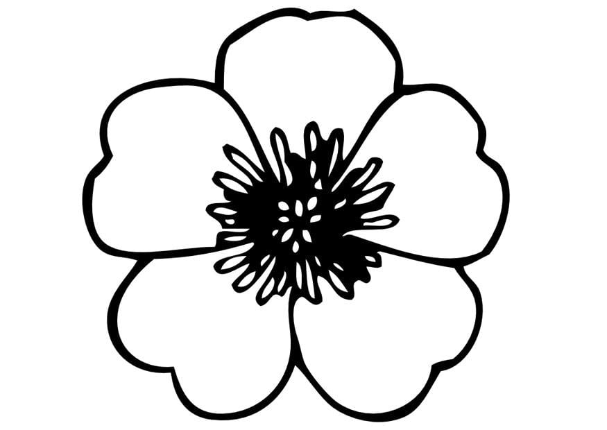 Malvorlage  butterblume