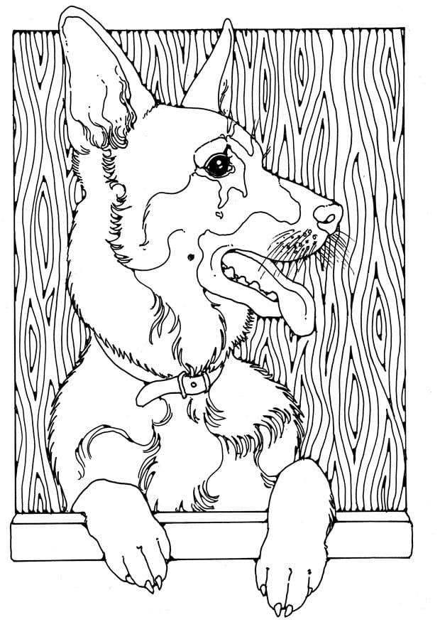 Malvorlage  deutscher schA¤ferhund