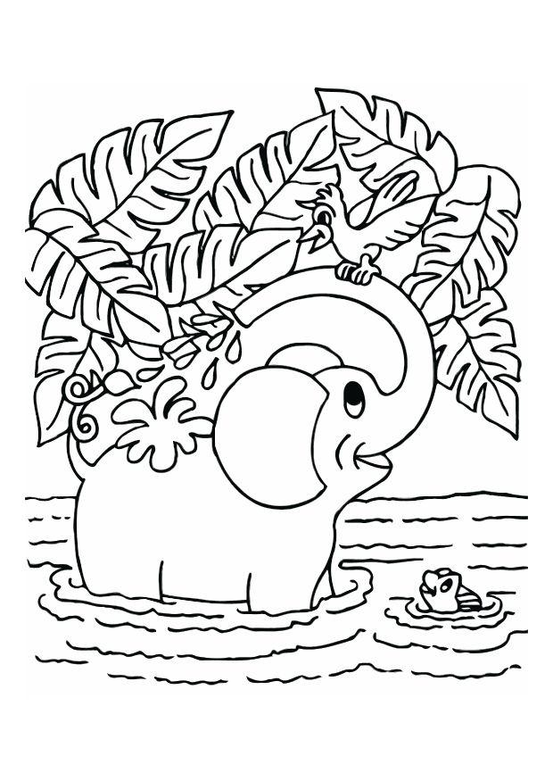Malvorlage  elefant