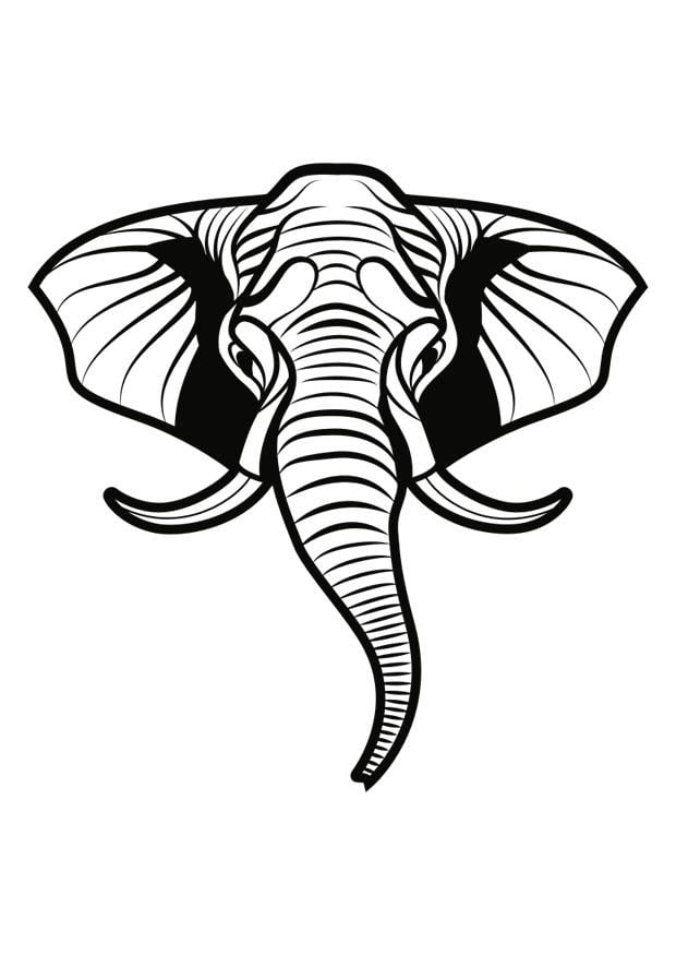 Malvorlage  elefant