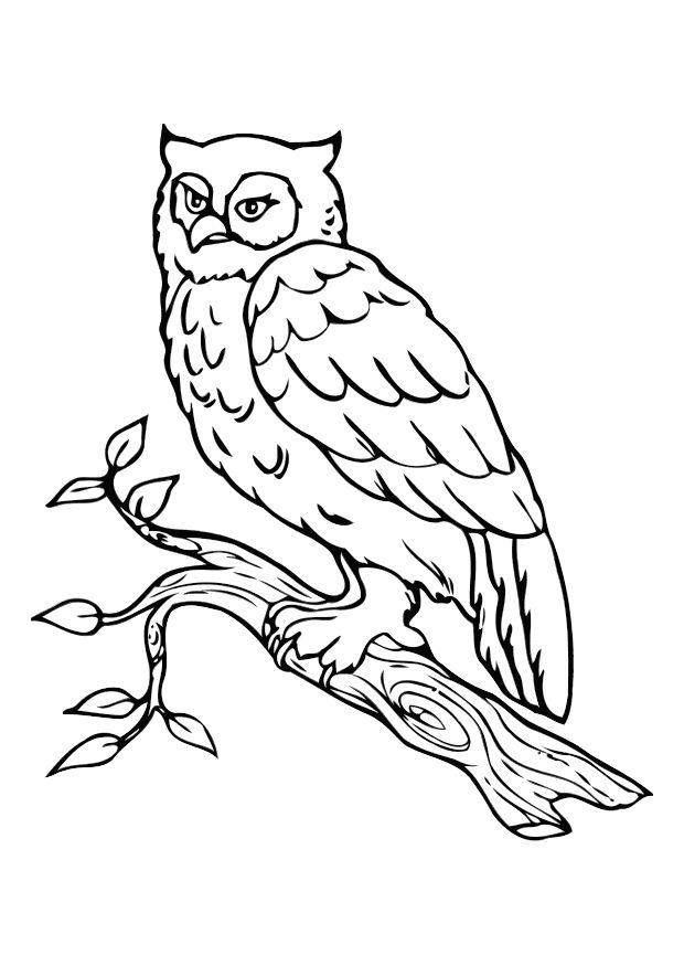 Malvorlage  eule