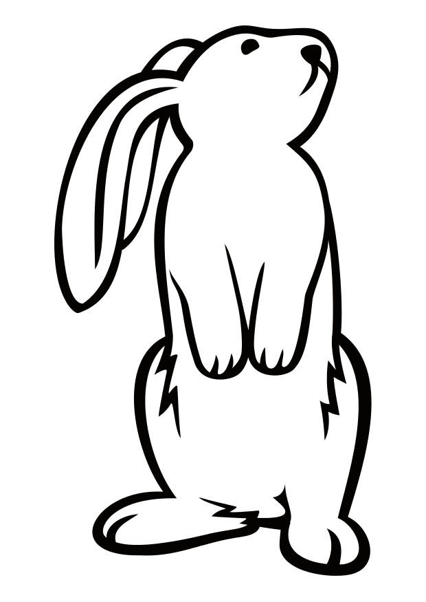 Malvorlage  hase