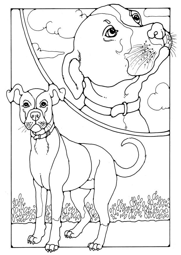 Malvorlage  hund