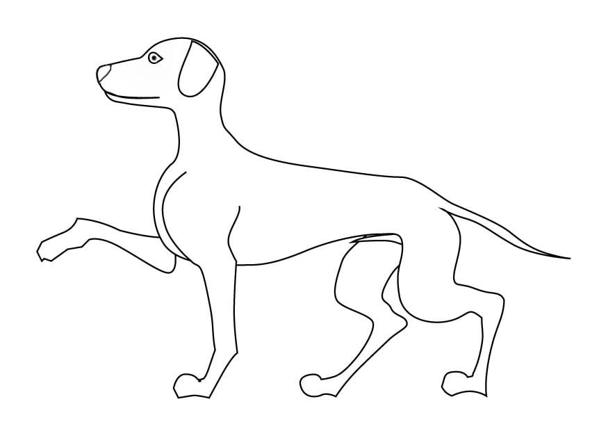 Malvorlage  hund