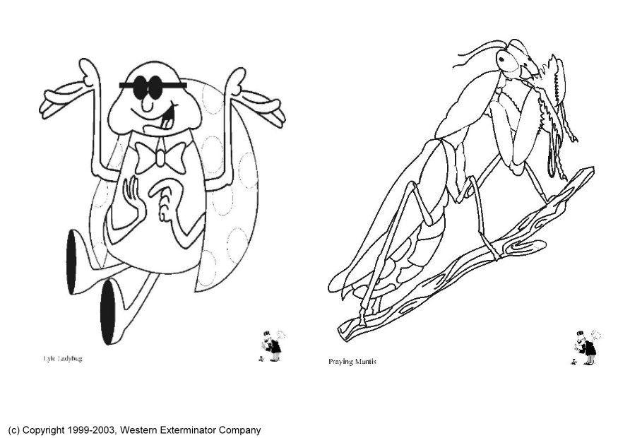 Malvorlage  insekten