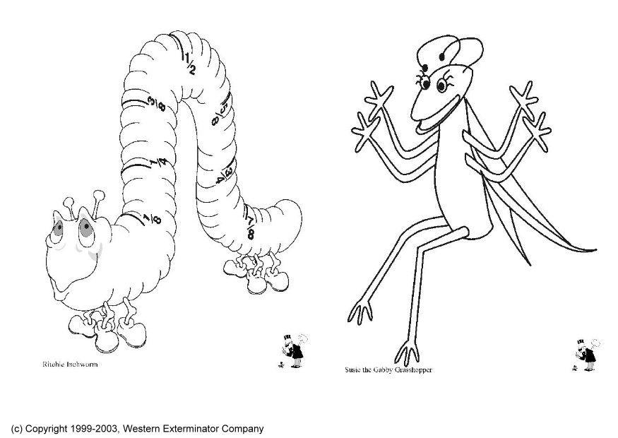 Malvorlage  insekten