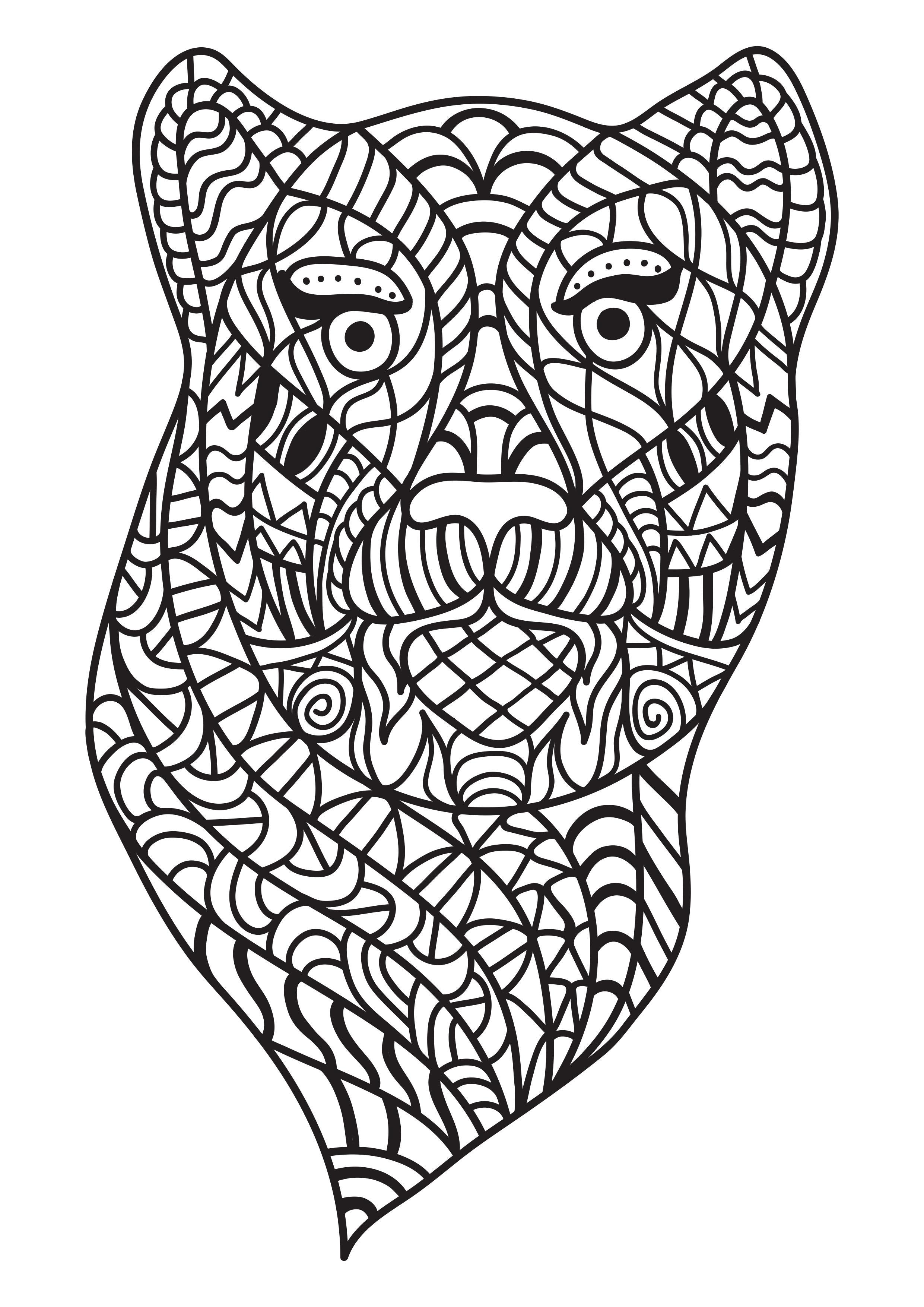 Malvorlage  katze