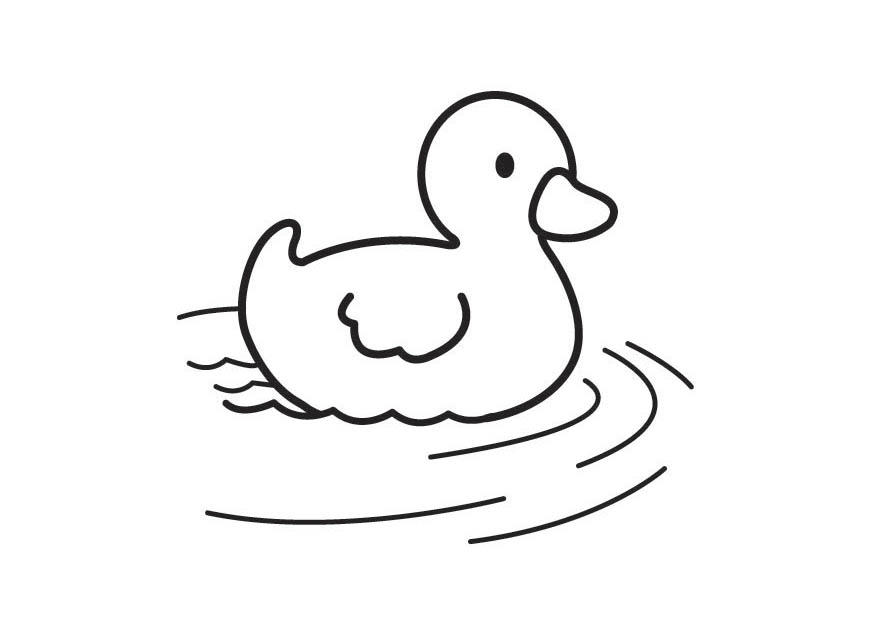 Malvorlage  kleine ente
