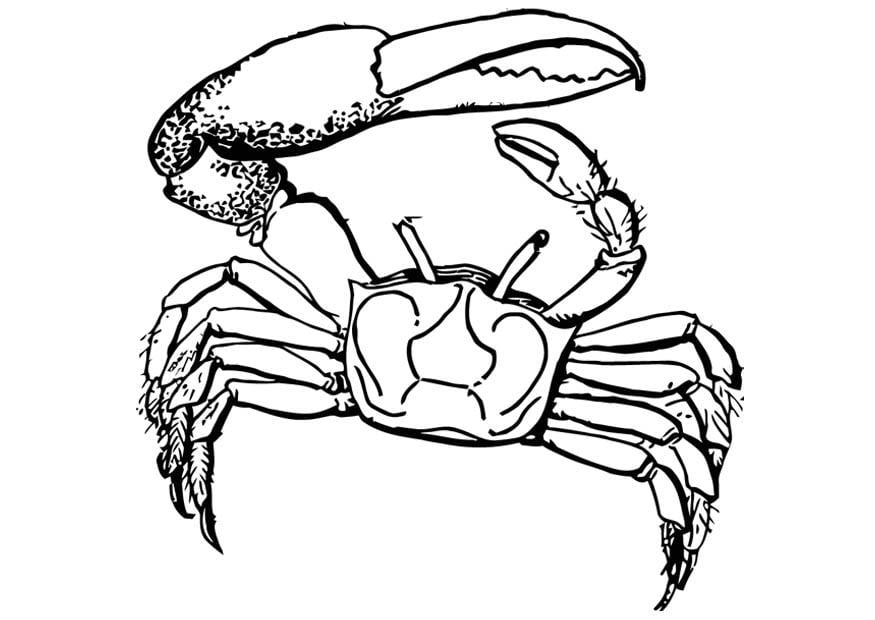 Malvorlage  krebs