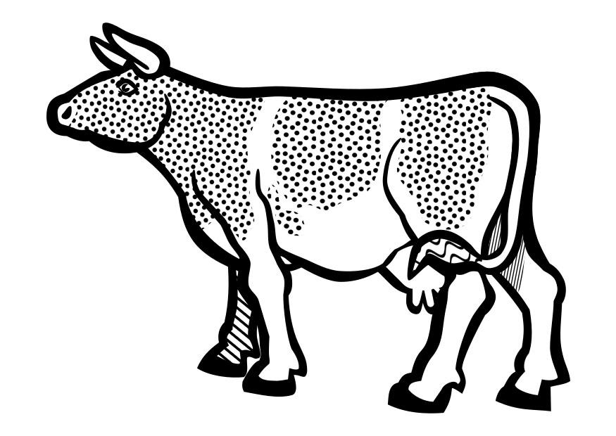 Malvorlage  kuh