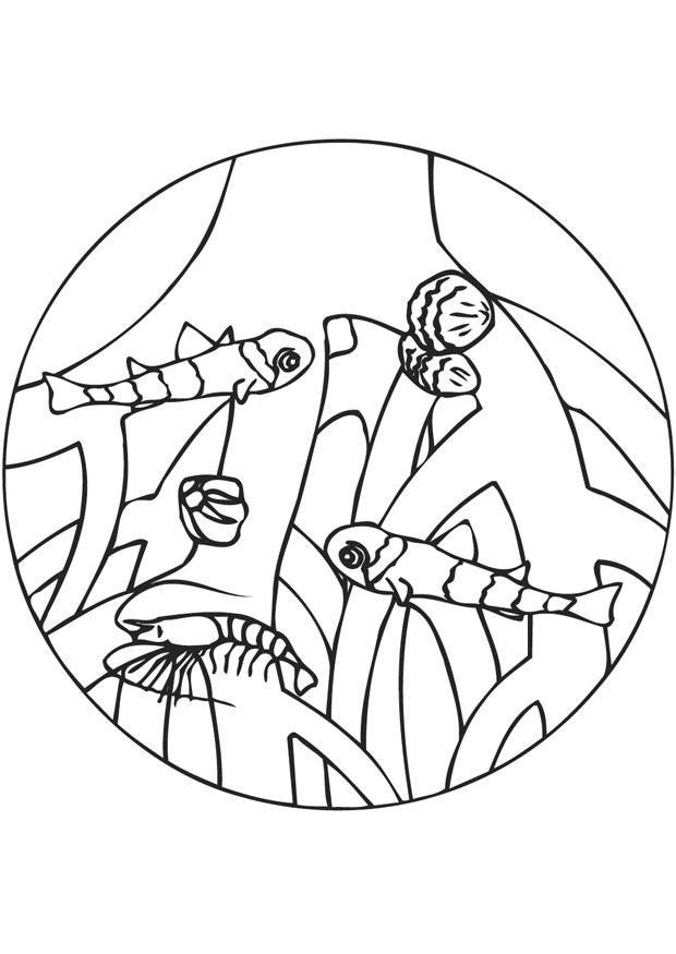 Malvorlage  mangrovenwurzeln