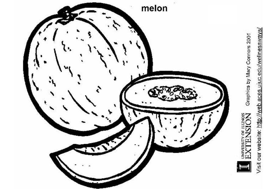 Malvorlage  melone