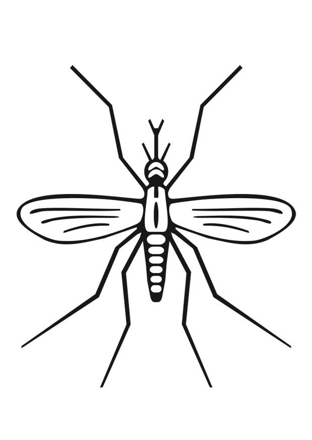 Malvorlage  moskito