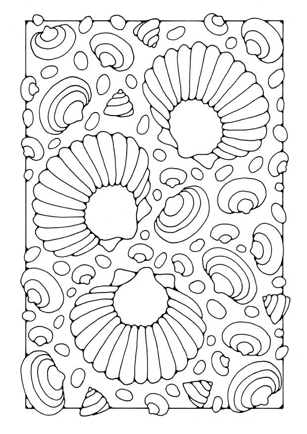 Malvorlage  muscheln