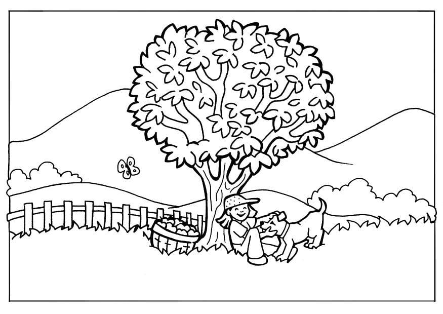 Malvorlage  natur