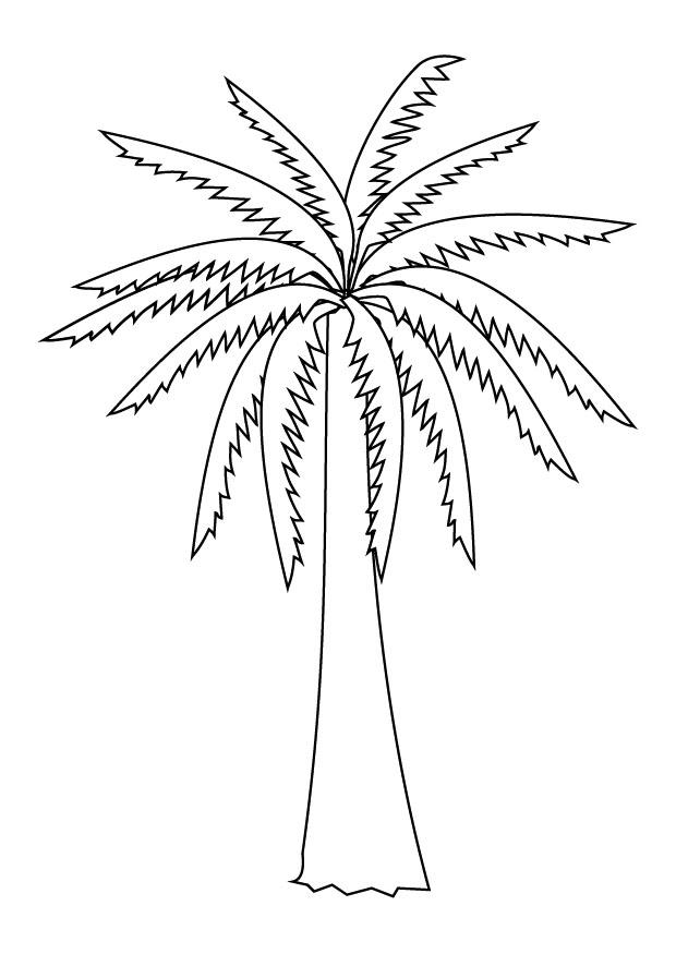 Malvorlage  palme