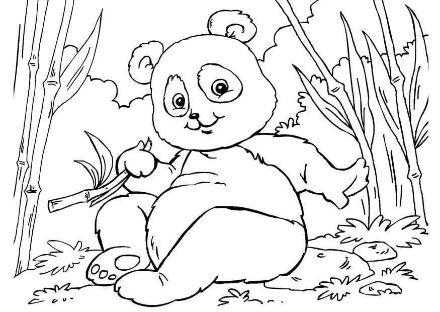 Malvorlage  panda