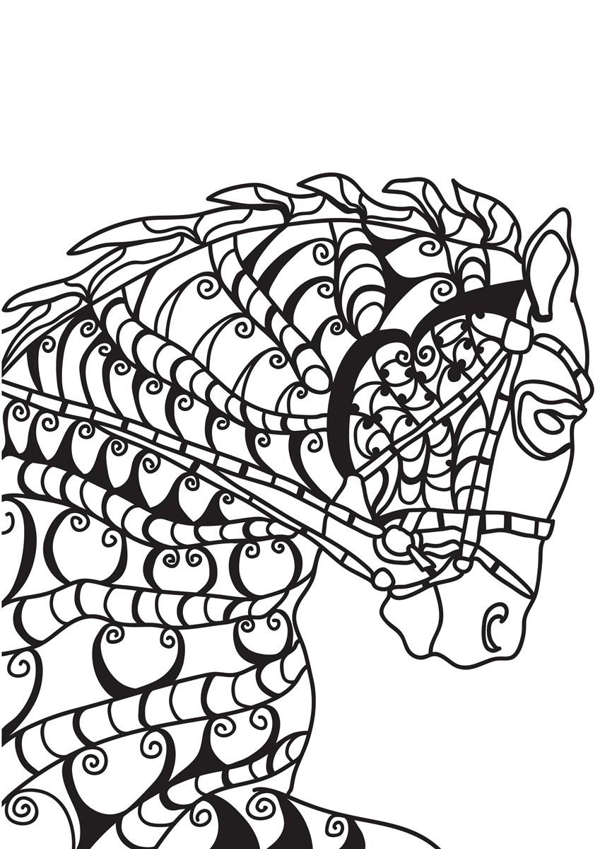 Malvorlage  pferd