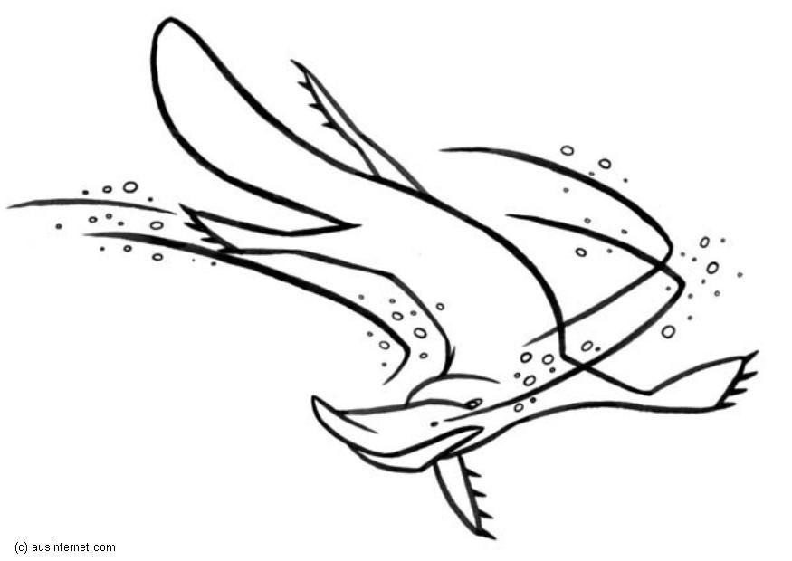Malvorlage  platypus